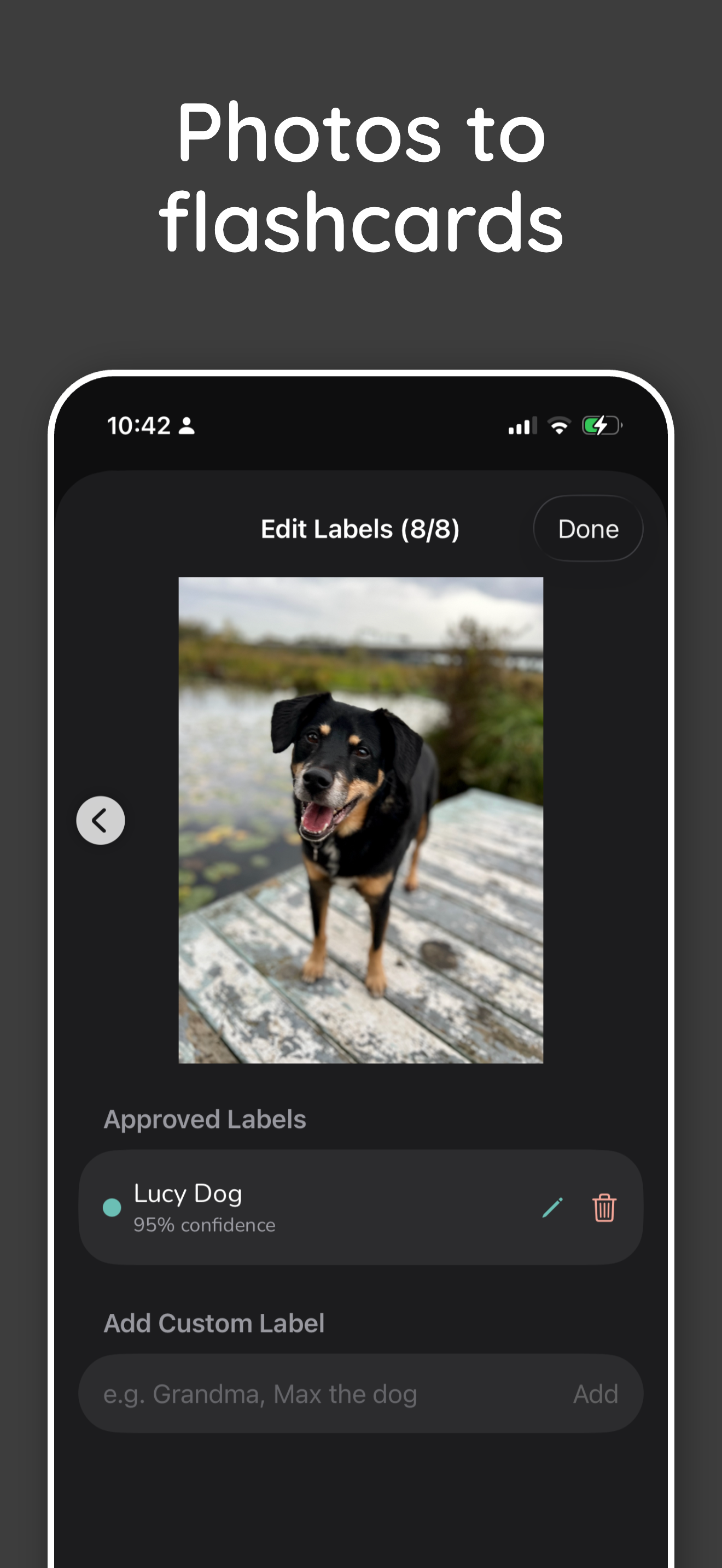 Sadie colorful interface
